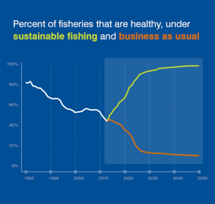 Unlocking the Potential of Sustainable Fishing EcoWatch