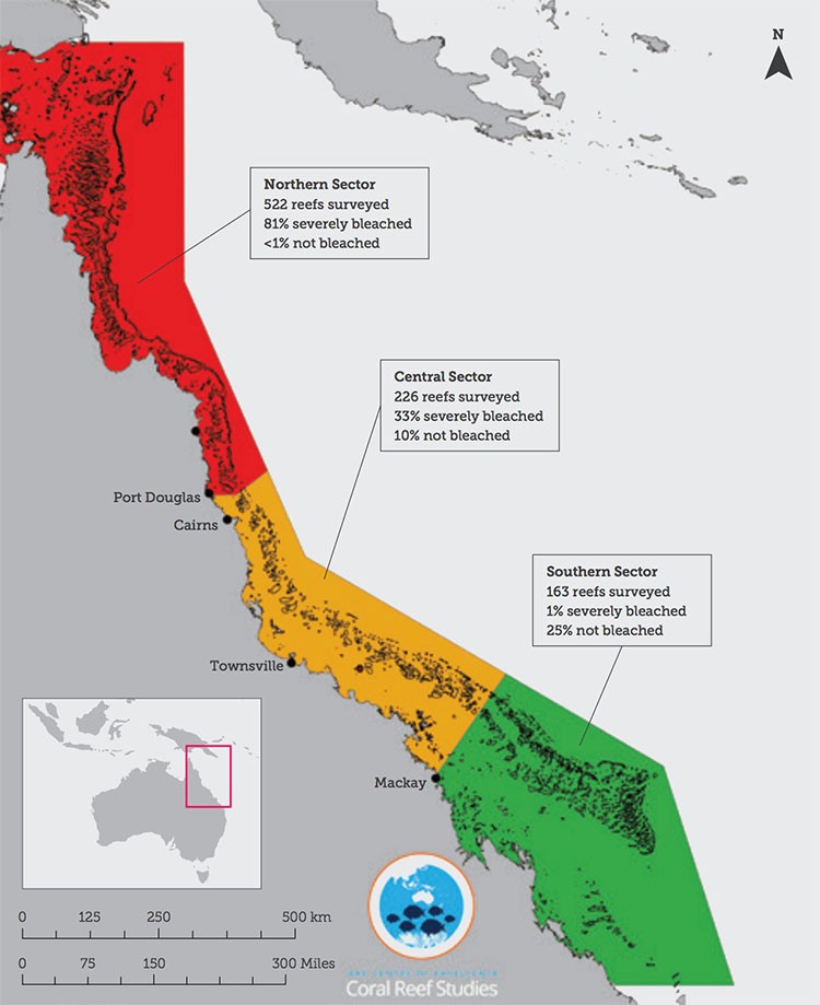 Great Barrier Reef Could Be Dead in 20 Years - EcoWatch