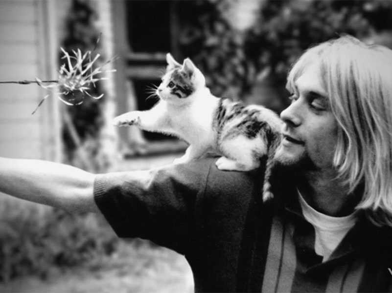 New Kurt Cobain Documentary Sparks Fresh Debate On Murder Over Suicide ...