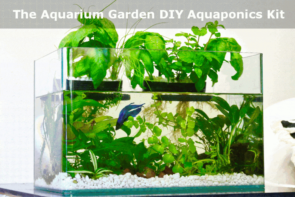 groponix mini aquaponic system for small aquariums. filter