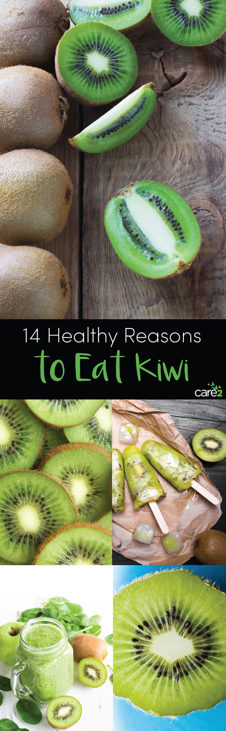 14 Reasons Why You Should Eat Kiwi EcoWatch