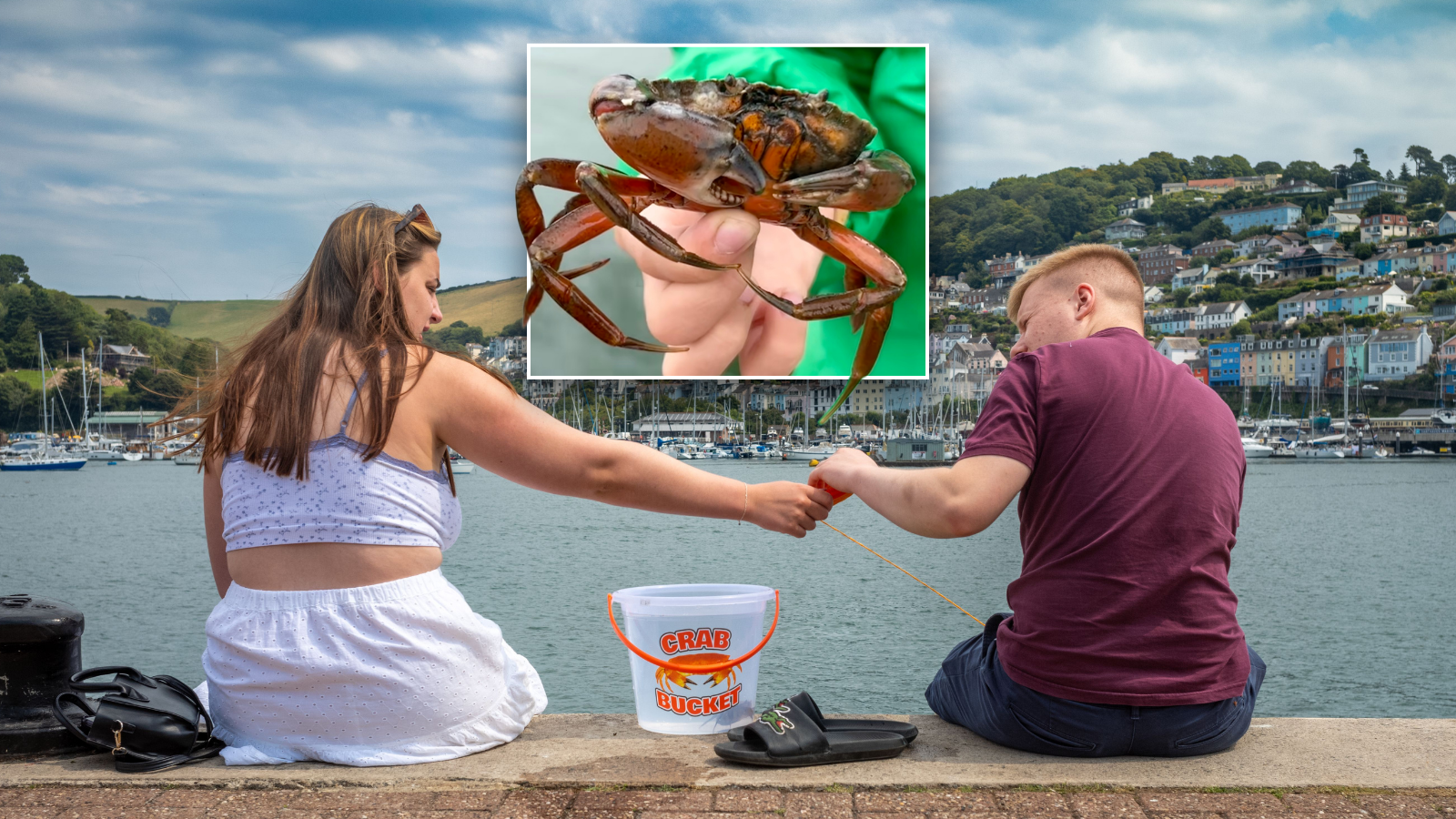 RSPCA demands much-loved seaside tradition be scrapped because it isn't 'compassionate'