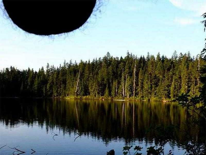 Nutscaping—Men Dangling Their Balls In Scenic Photos Is An Actual Thing