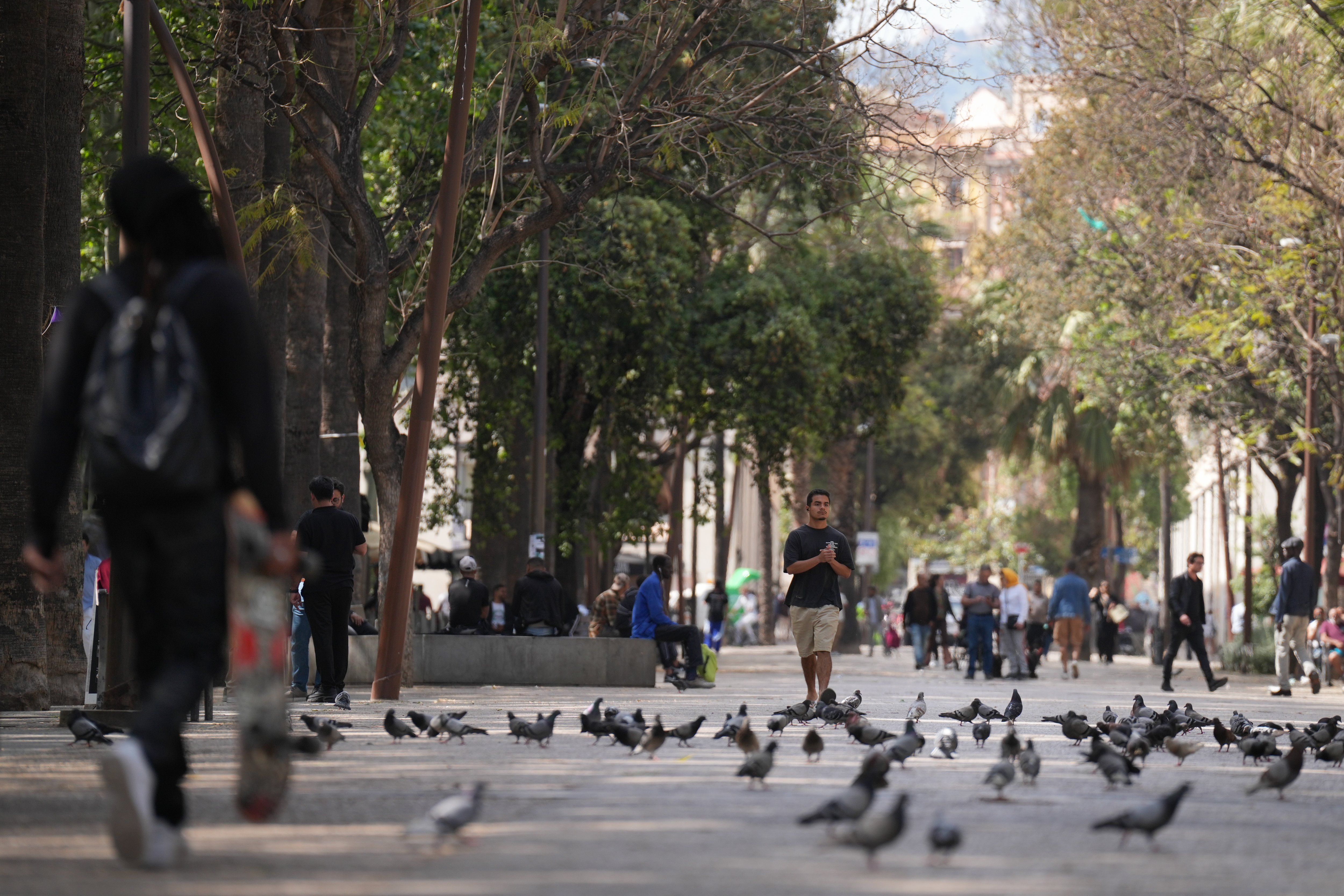 City birds fear women more than men, leaving scientists baffled as to why