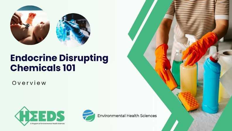 New online course: EDCs 101