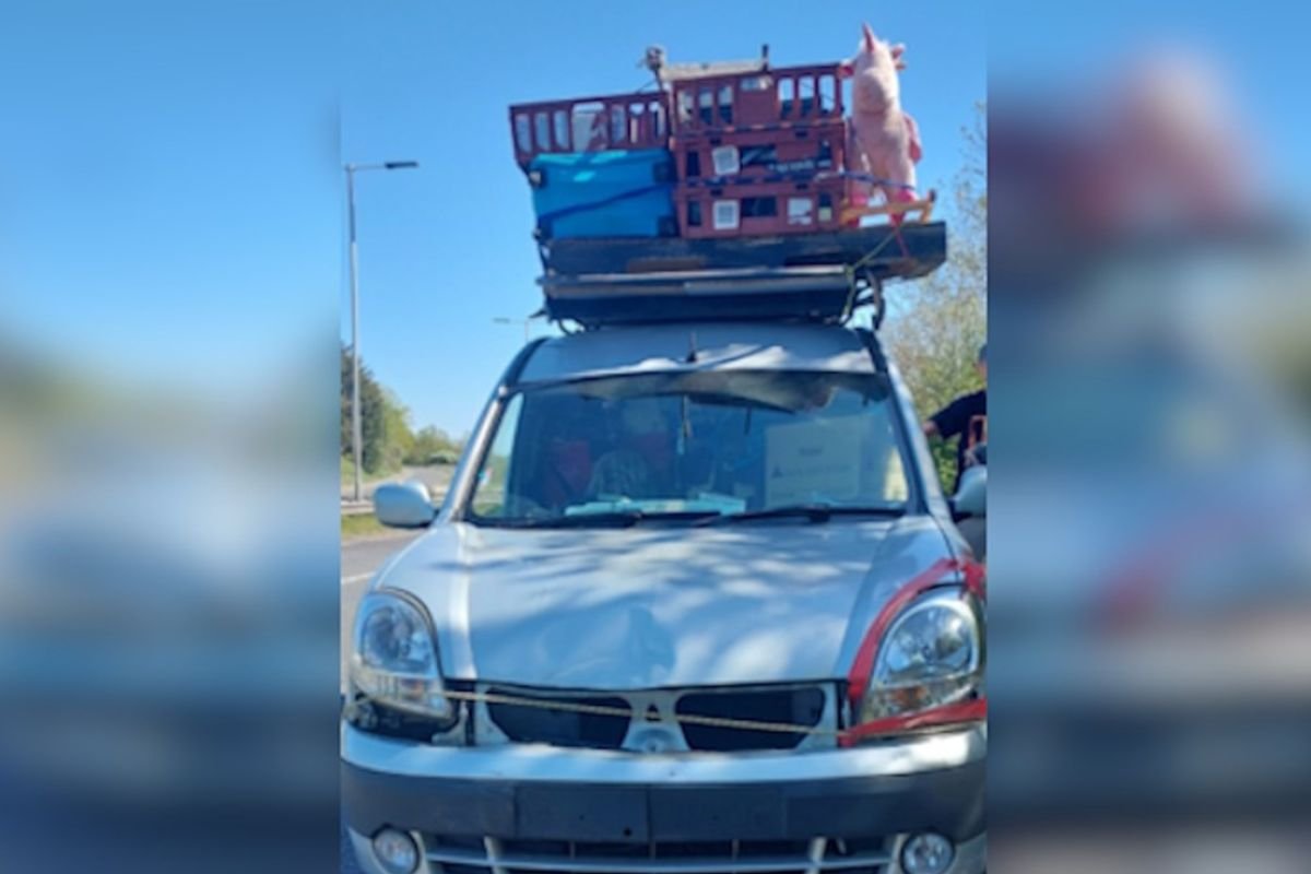 Driver stopped by police for overloading vehicle with large pink unicorn 'after leaving car boot'
