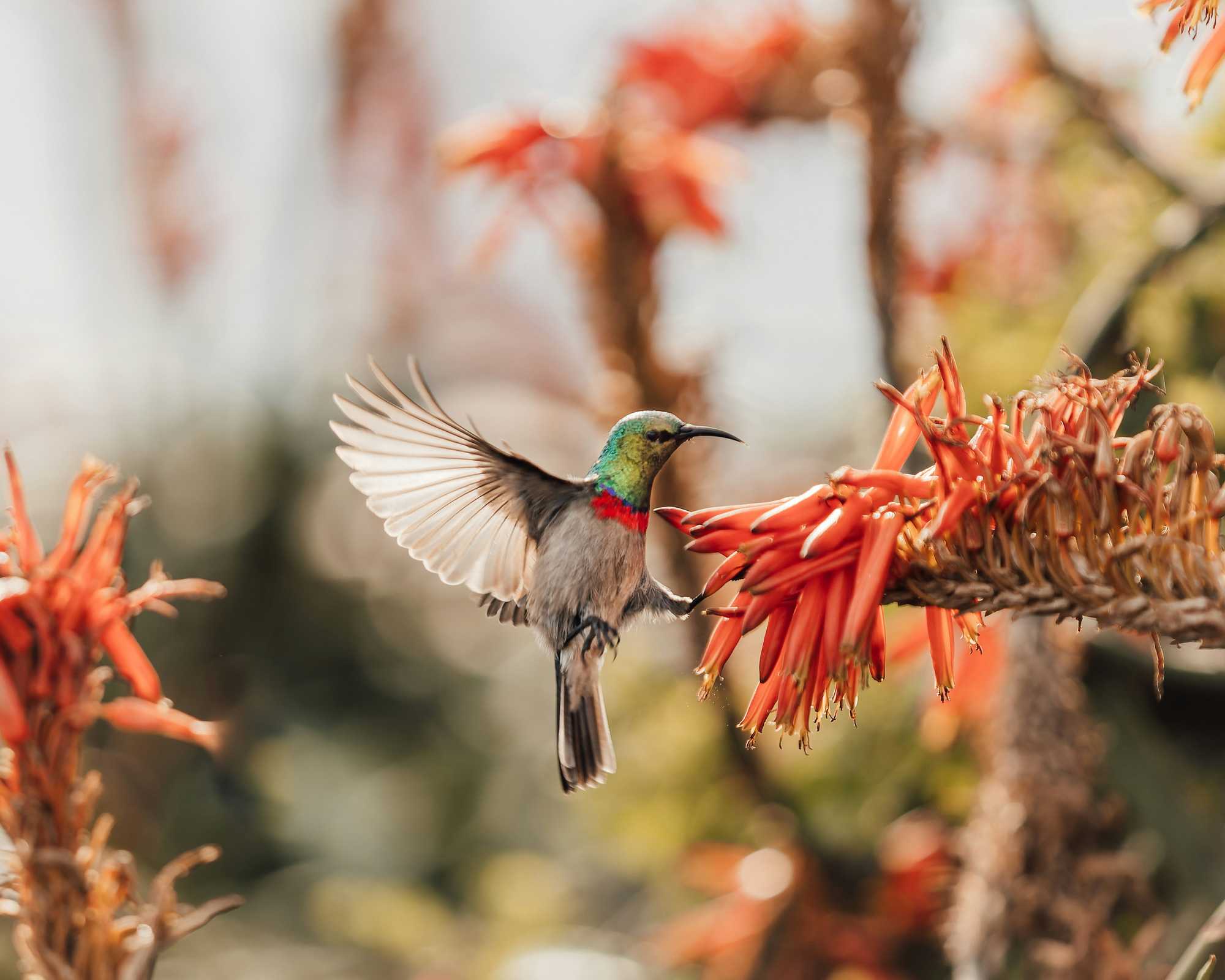 Toxic chemicals and climate change work together to harm fertility across species