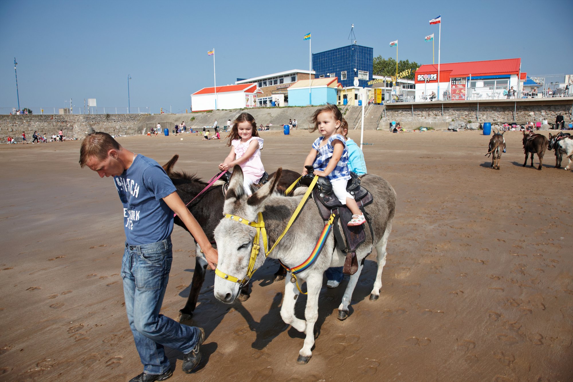 Donkeys banned from popular British beach ending century-old tradition