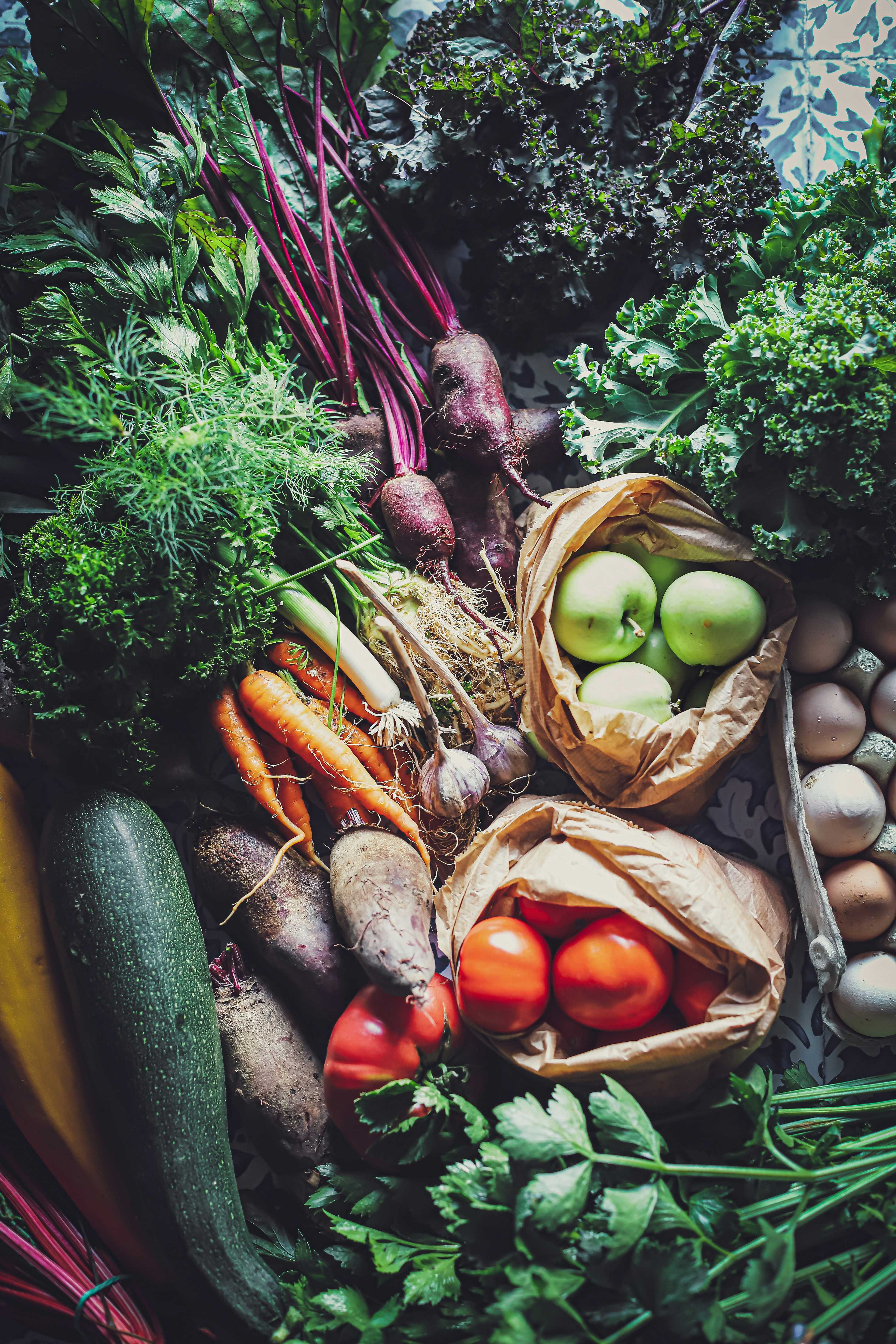 Vitamins and essential minerals may help minimize the impacts of endocrine disrupting chemicals