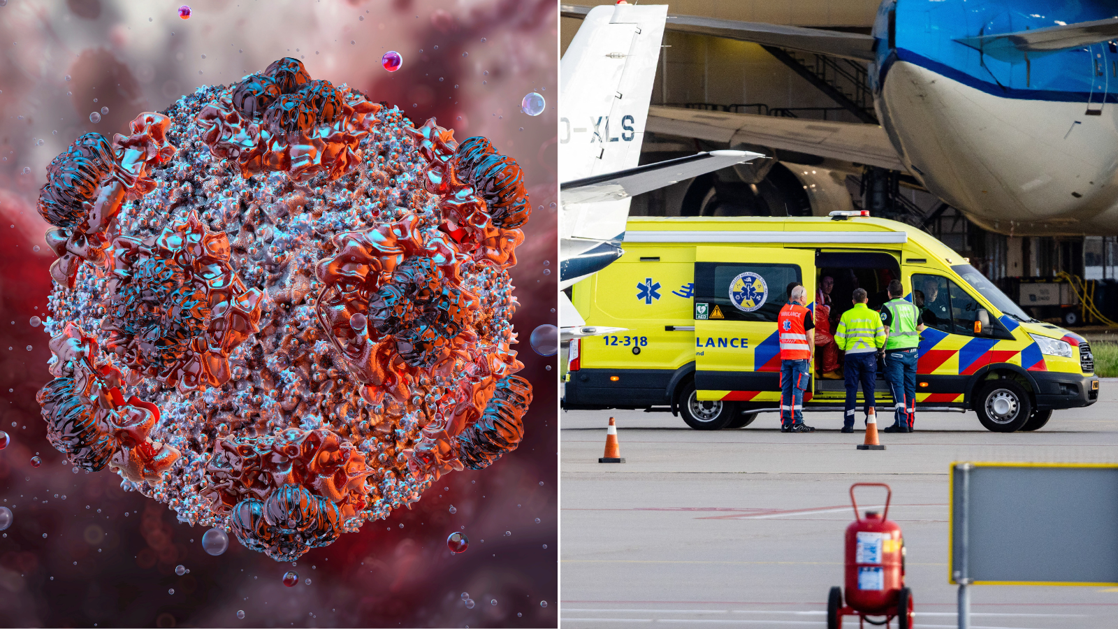 Scientists set critical 'date to watch' for new wave of hantavirus spread - as woman in 'serious' condition after testing positive for disease