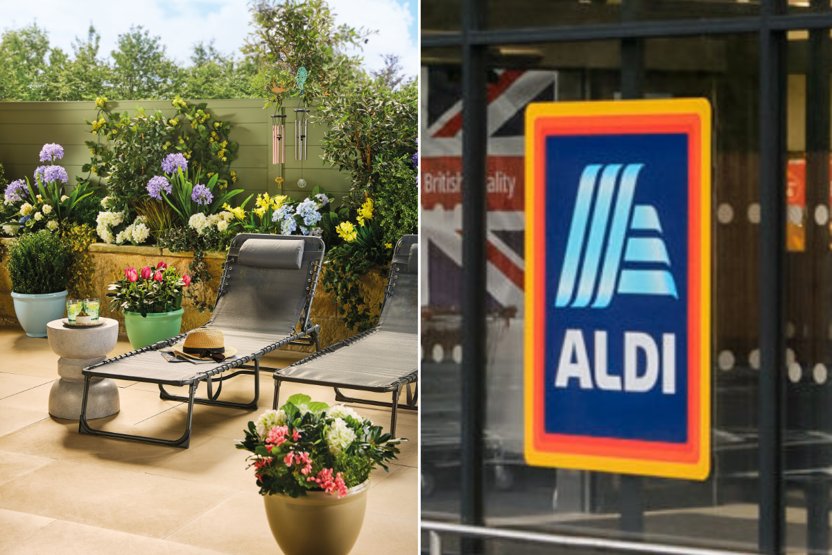 Aldi expands outdoor range with essentials for a budget-friendly garden makeover - prices from £1.29