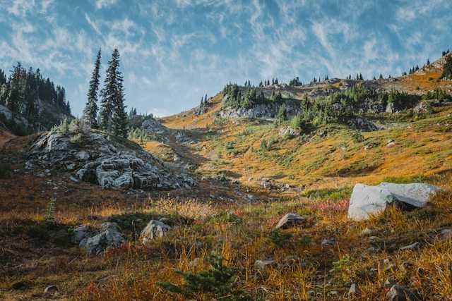 Feds to open tens of thousands of acres of Colorado wilderness to oil drilling