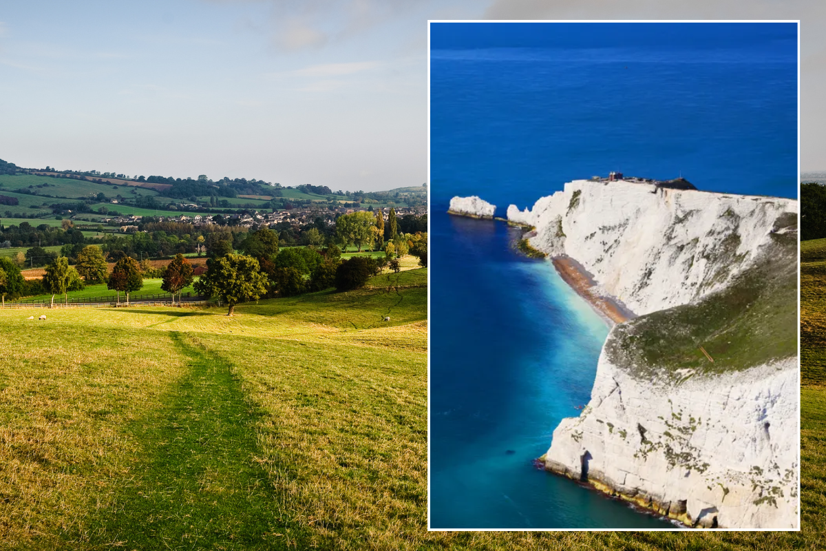 Best UK walks to spot wildlife on: Spectacular coastal paths dominate the list