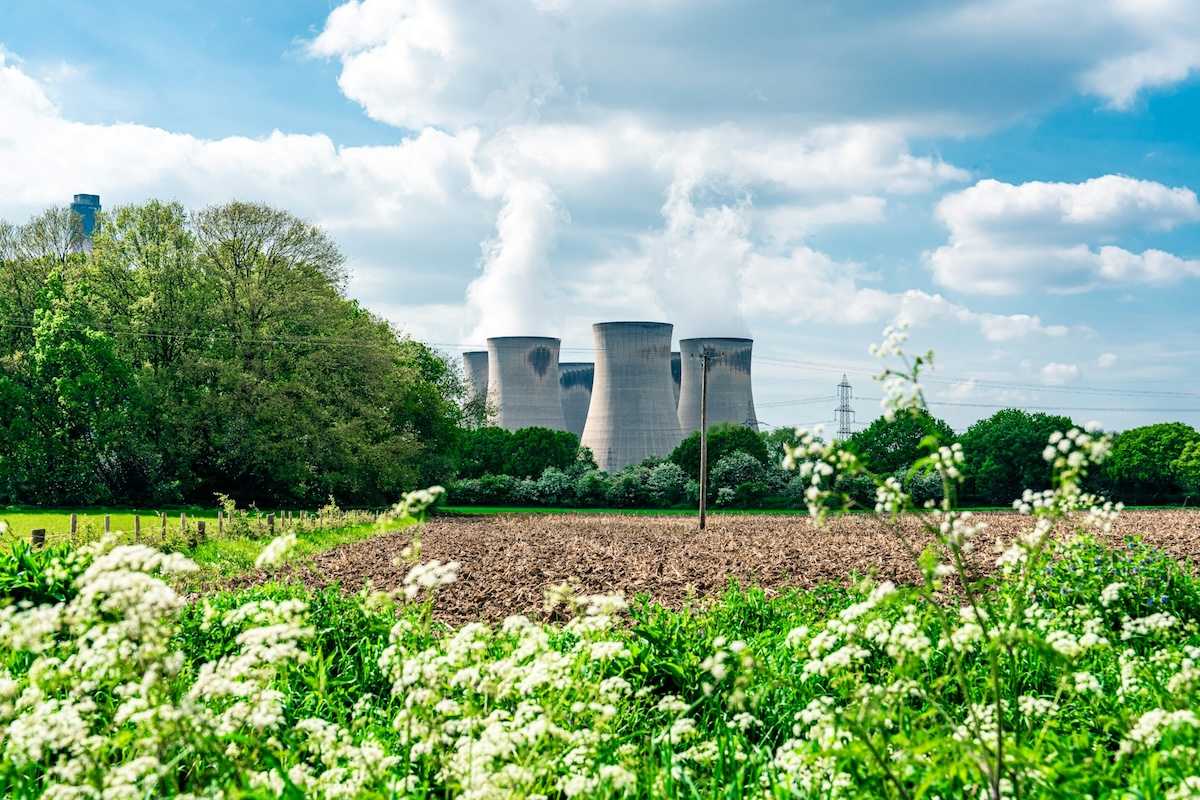Humans are changing how nature smells, with risks for wildlife
