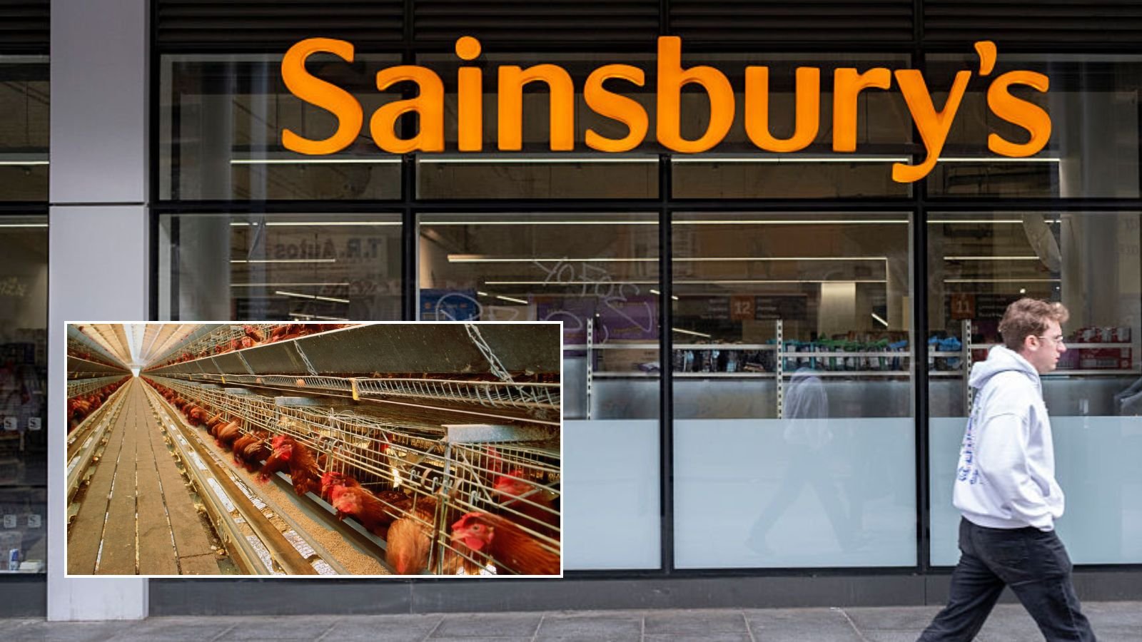 Sainsbury's accused of 'prioritising Net Zero over animal welfare' days after brown egg row