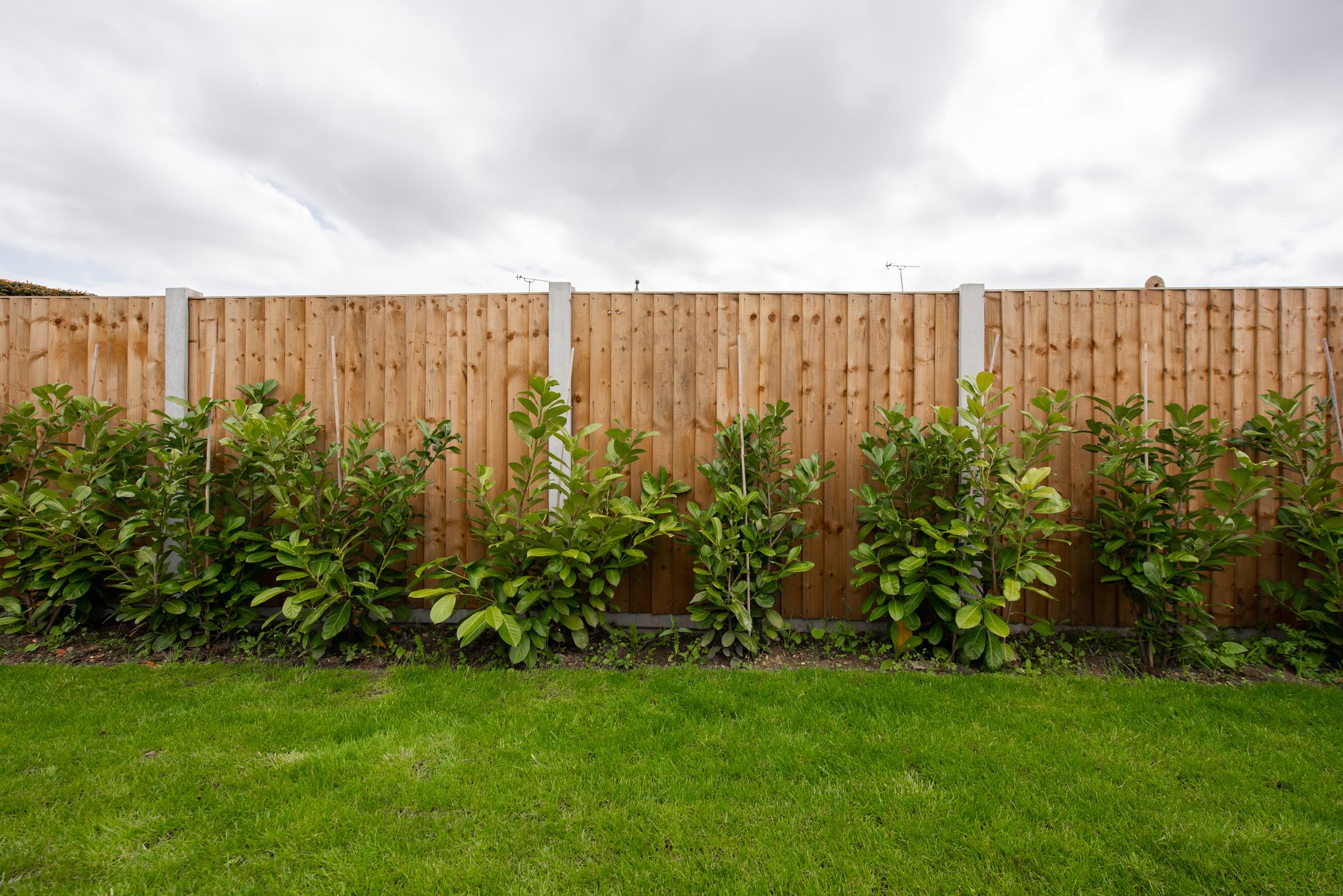 Neighbour from hell threatens to sue homeowner for wanting t