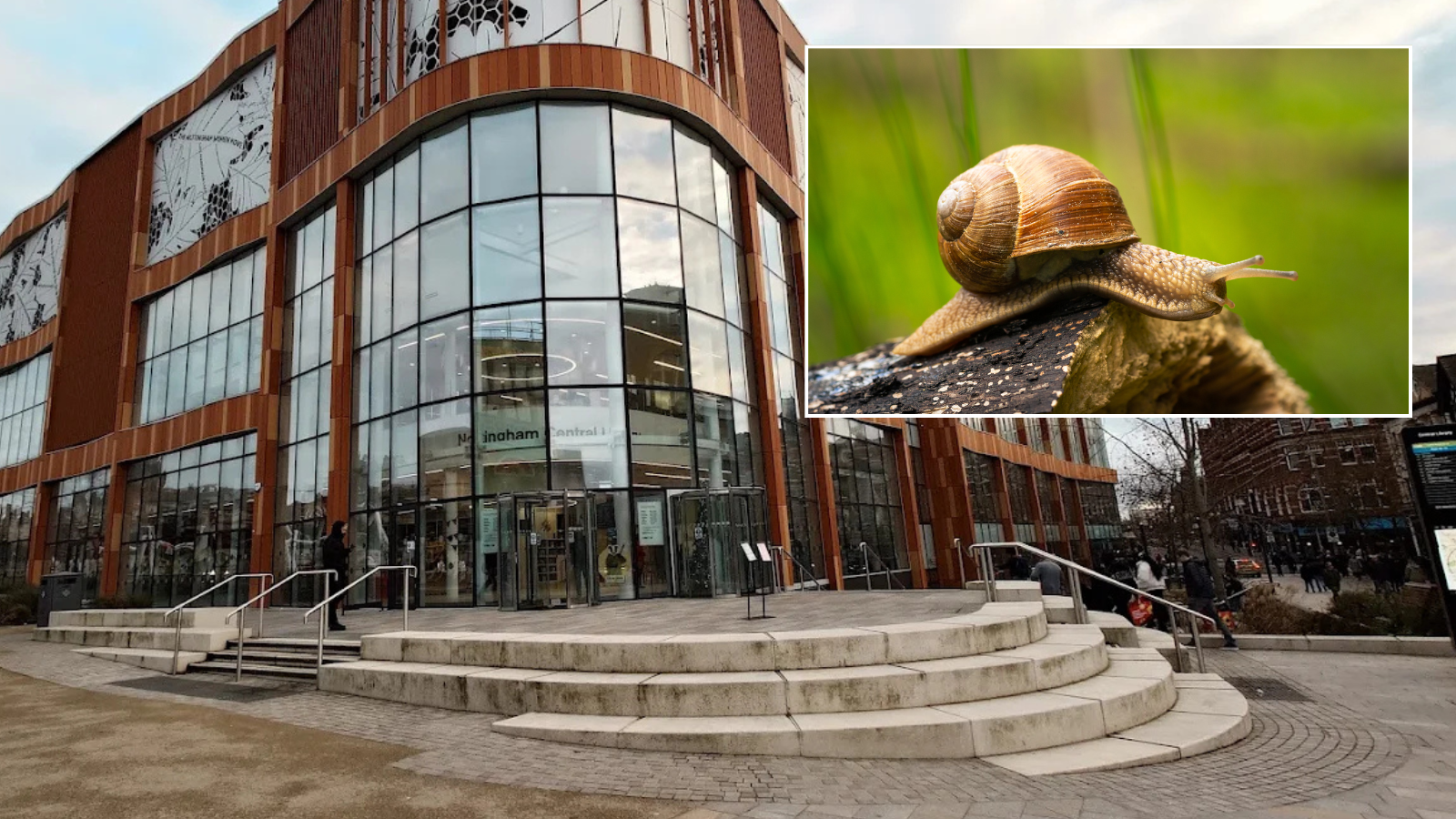 Council pulls snail racing event and apologises af