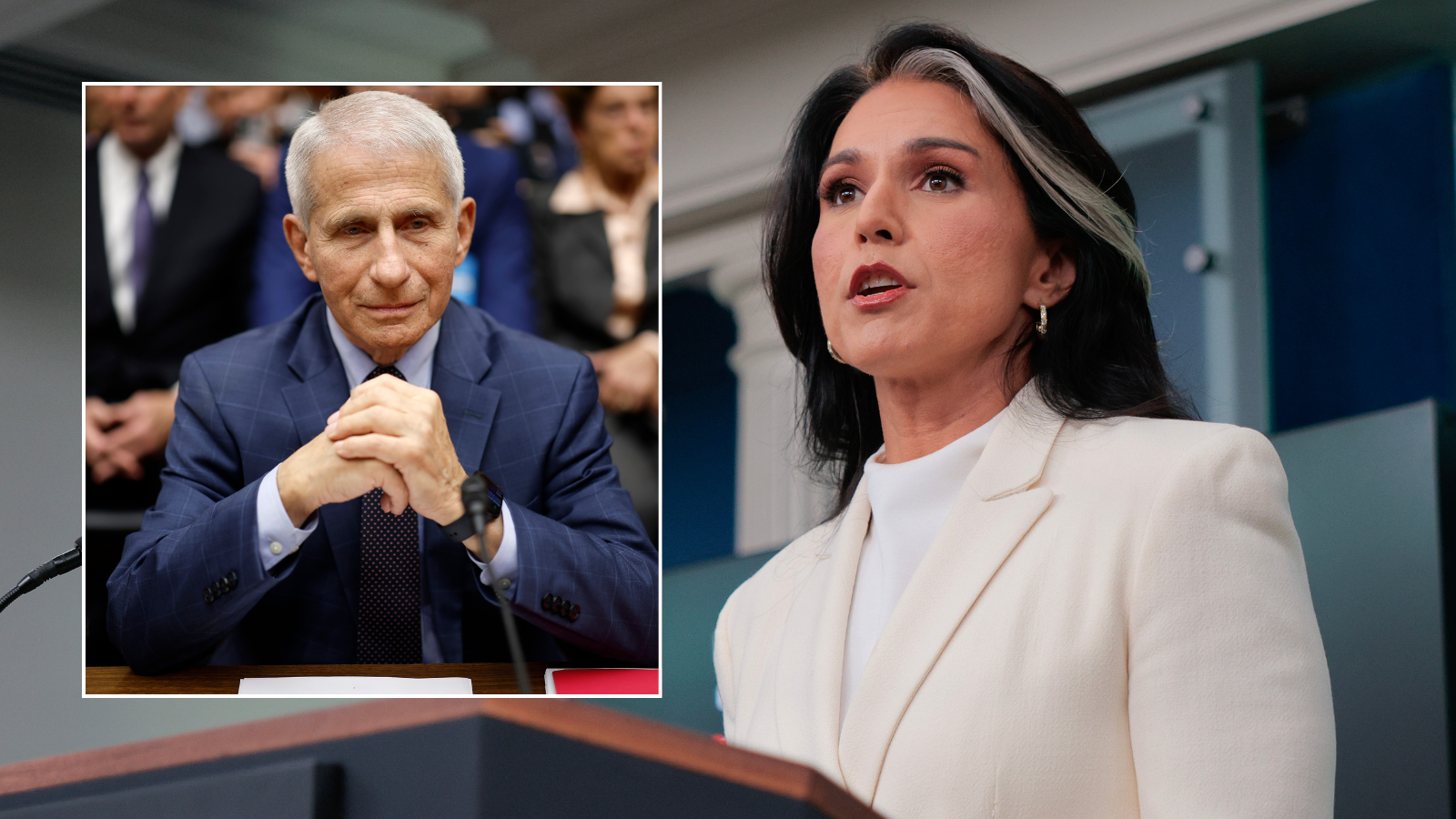 Tulsi Gabbard releases Covid files in final act and declares Dr Fauci ‘lied to Congress under oath’