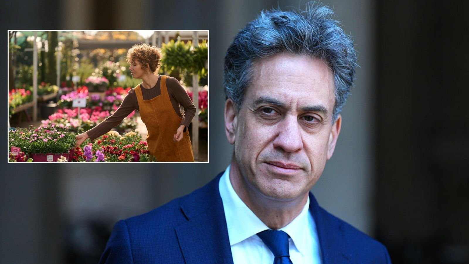 Britain's largest gardening centre firm warns Ed Miliband's Net Zero rules will cost chain 'millions'