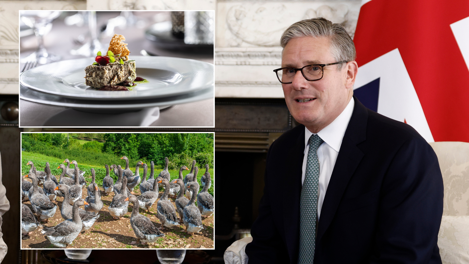 Keir Starmer U-turns on manifesto pledge and caves into EU over controversial foie gras