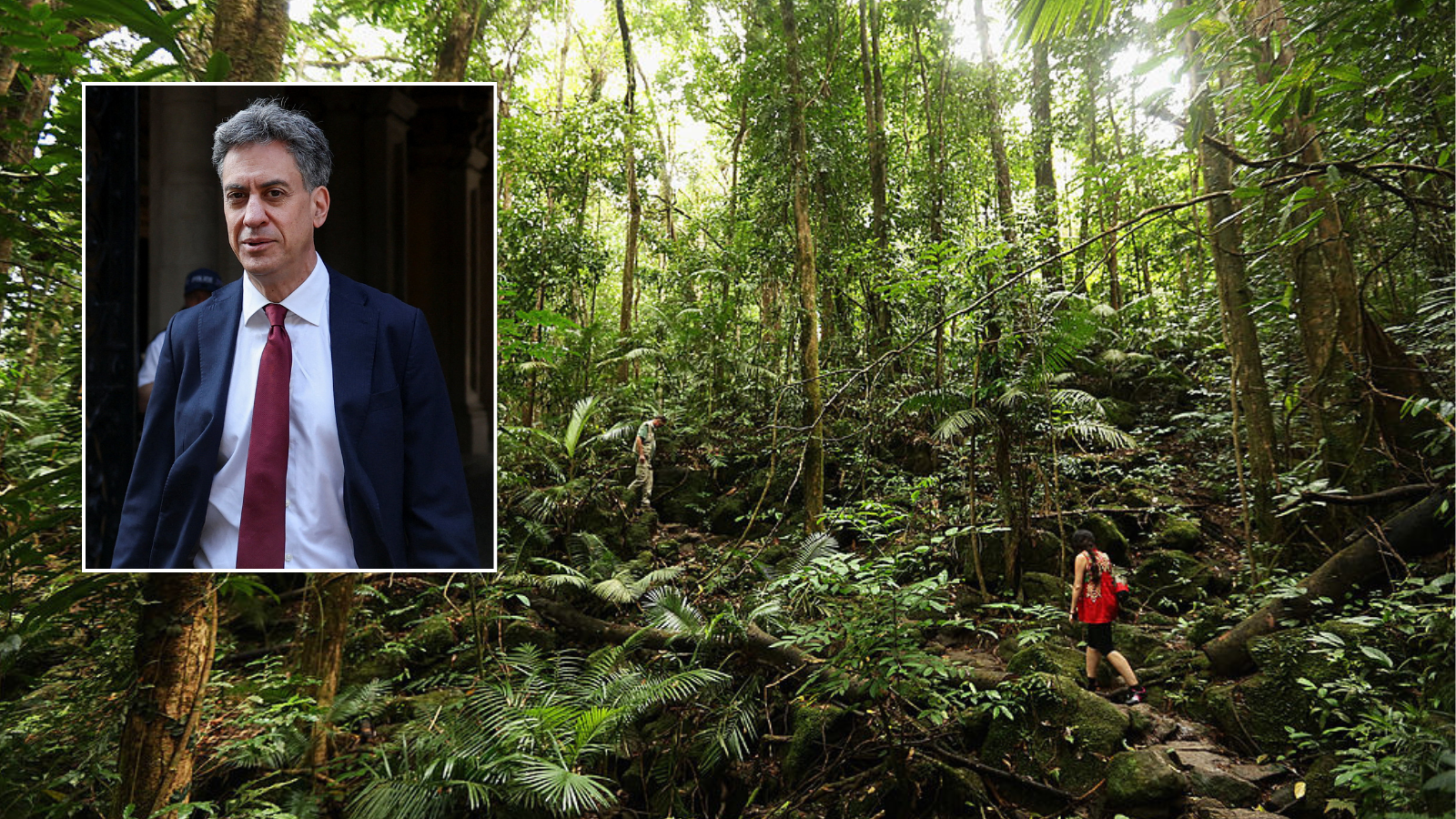 Ed Miliband's £400m rainforest fund shelved over 'optics concerns' while UK embroiled in bitter row over defence
