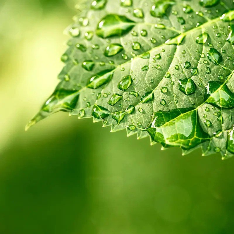 Consistent Sustainable Performance