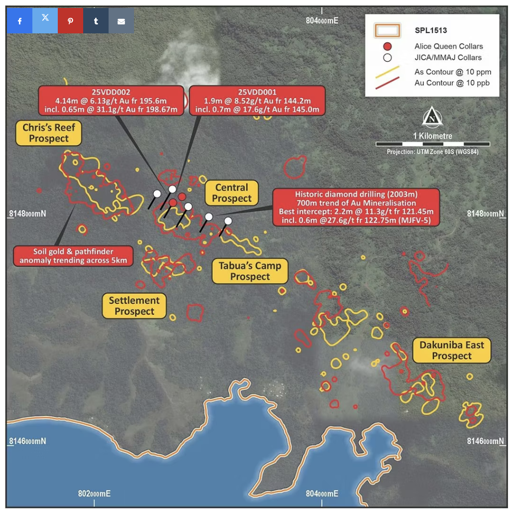 alice queen viani project map