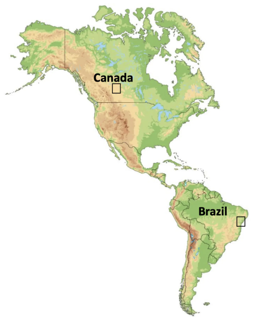 Map of Brazil and Canada showing Alvopetro Energy projects
