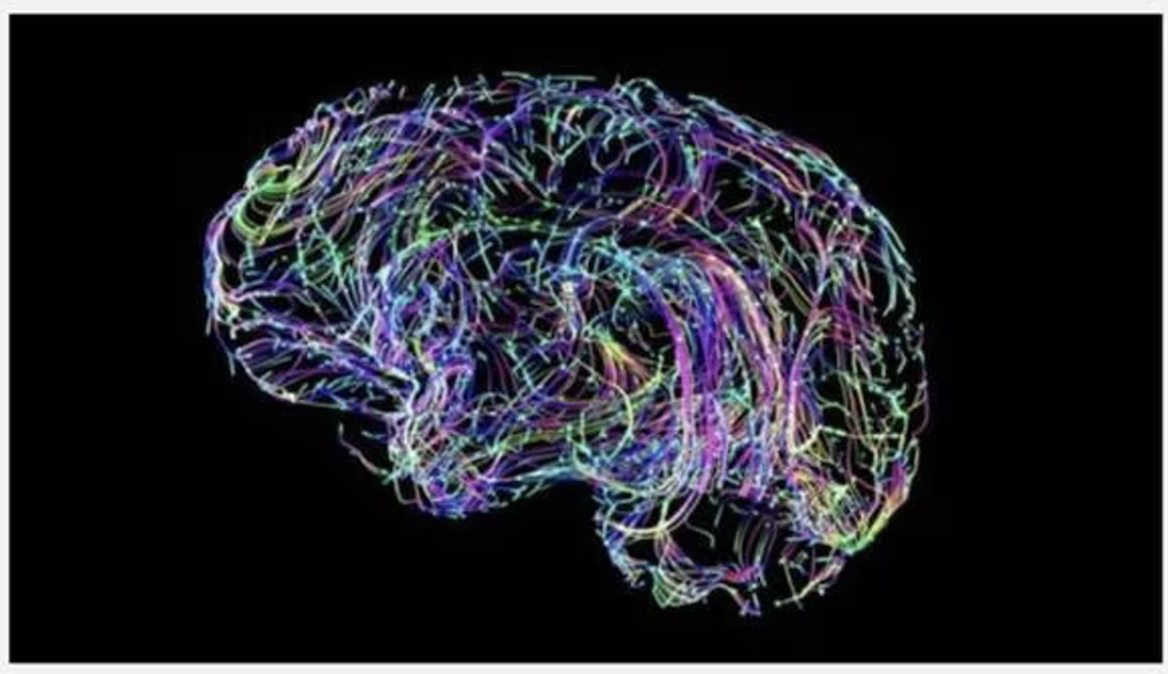 A colorful, swirling neural network pattern illustrating BPH Energy's Cortical Dynamics
