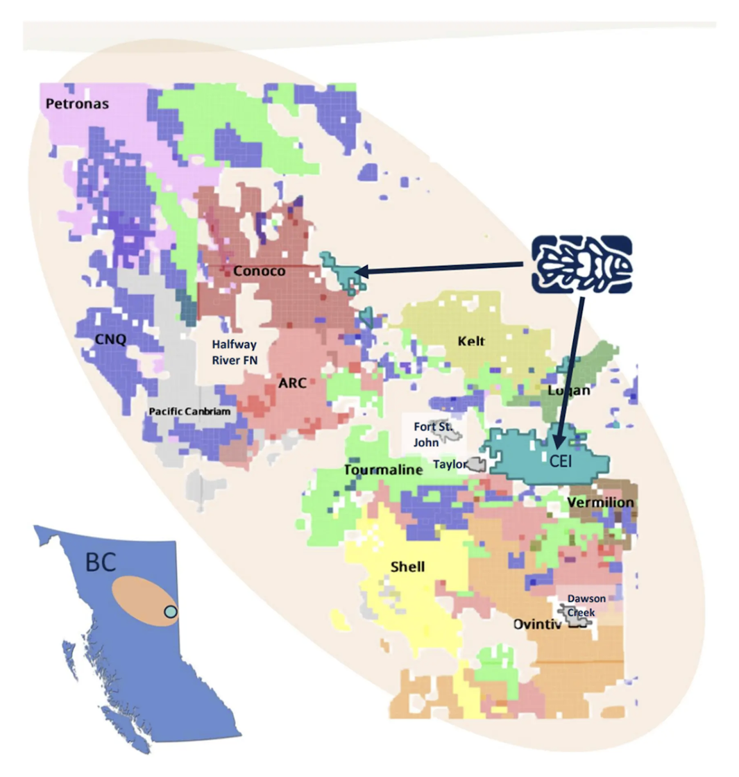Colorful regional map of British Columbia with Coelacanth Energy's projects
