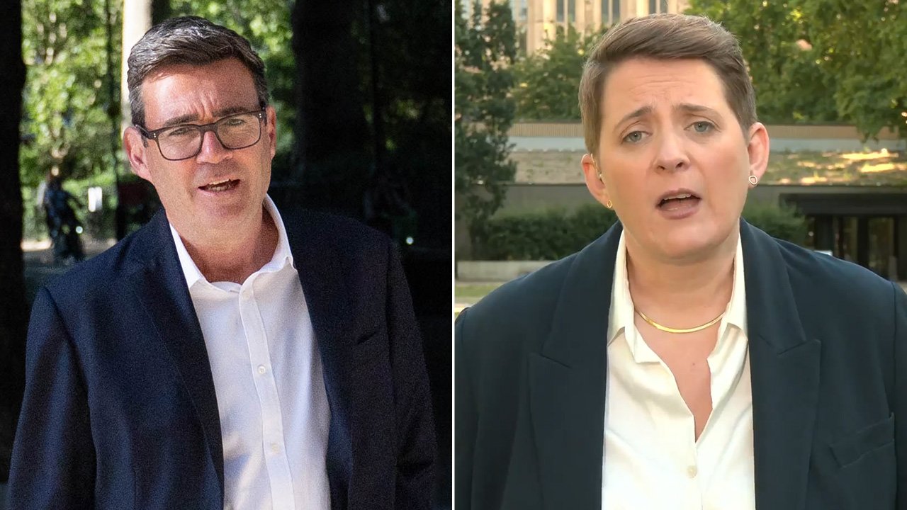 Labour MP throws support behind Chagos deal amid fears Andy Burnham plans to 'press ahead' with surrender: 'Right for the country!'