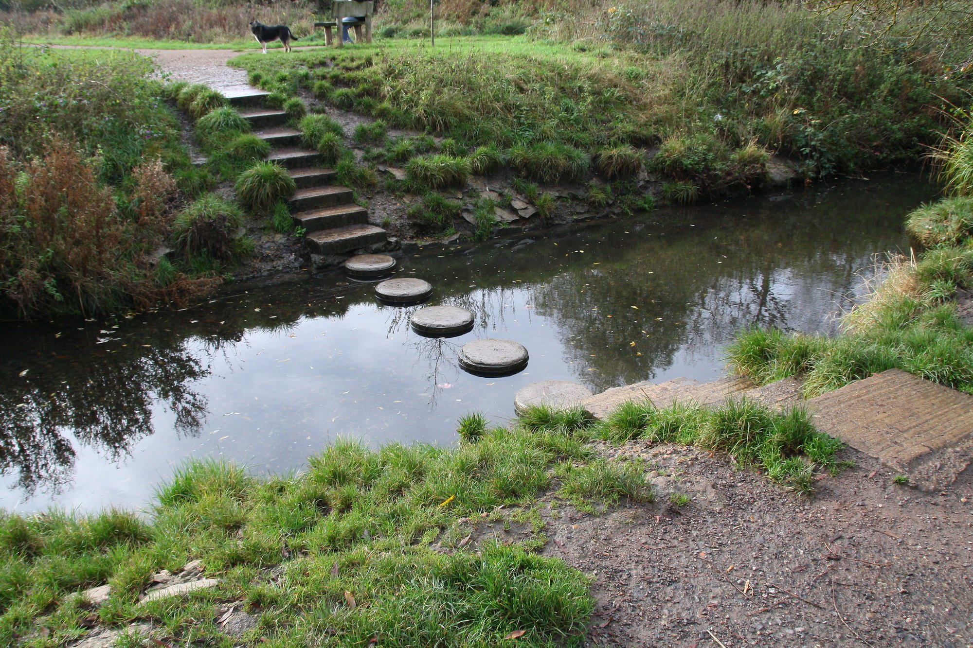 Killjoy council decides to remove historic stepping stones from picturesque river because someone might slip