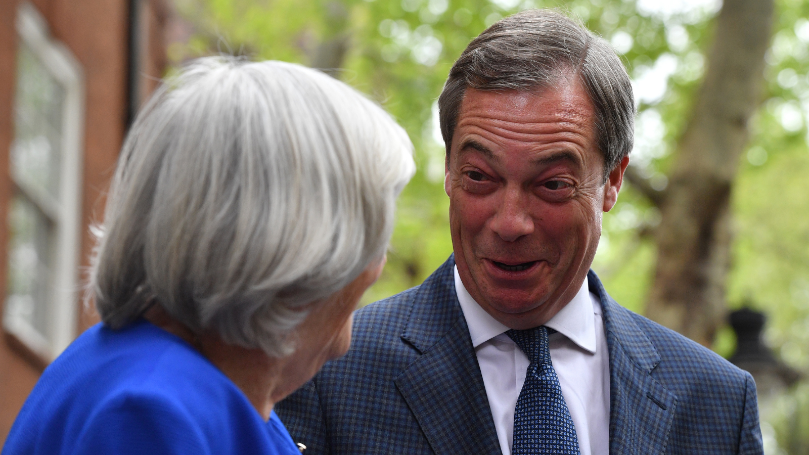 Nigel Farage brands Ann Widdecombe’s death 'terrible reflection on modern Britain'