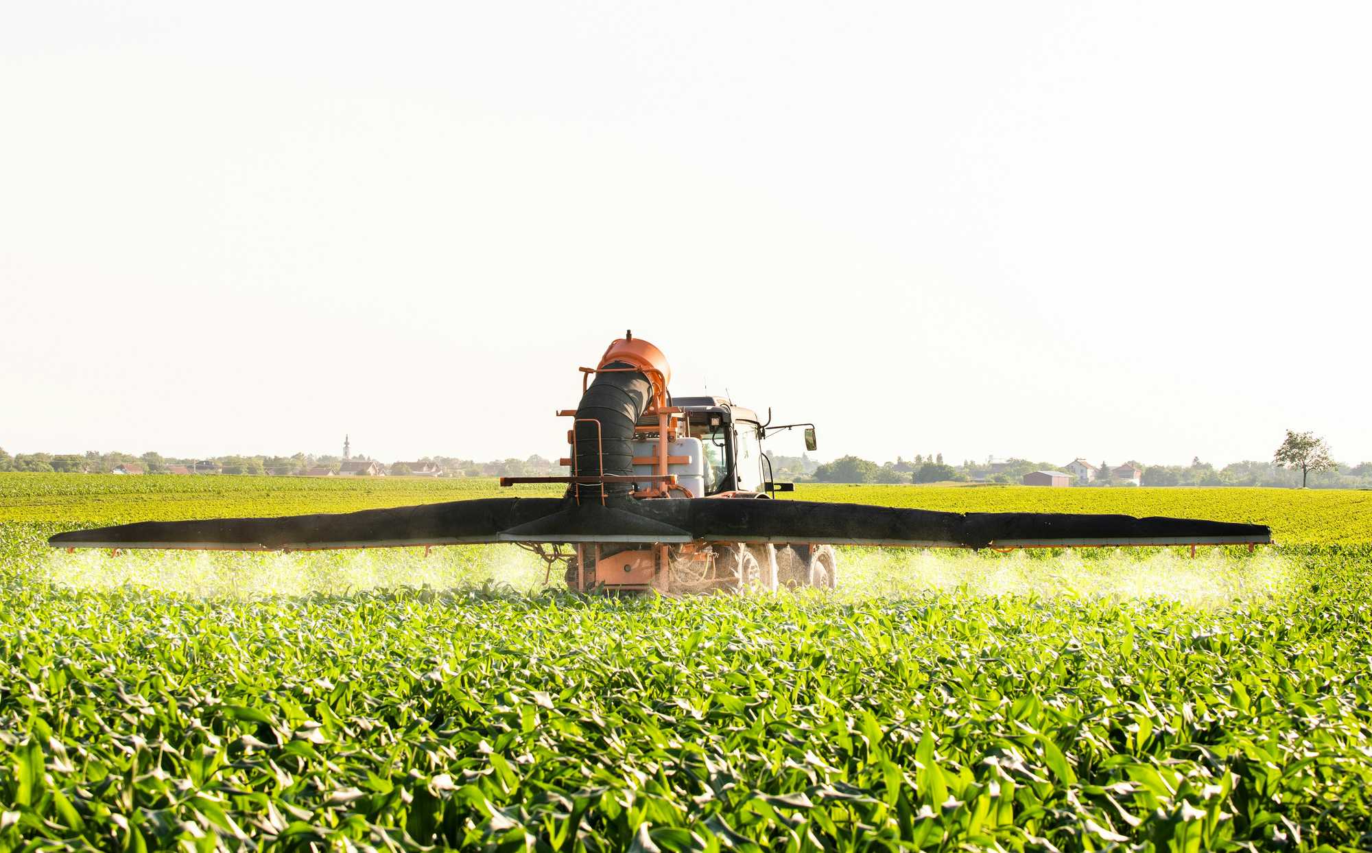 Webinar: Glyphosate science: cancer, neurotoxicity & endocrine disruption