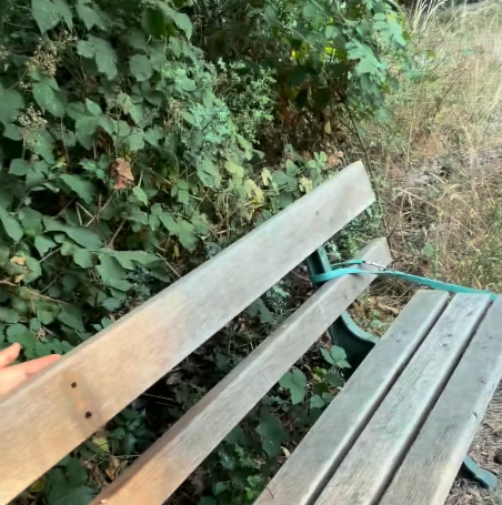 Green councillors branded 'frankly bonkers' after bench armrests removed for sleeping homeless people