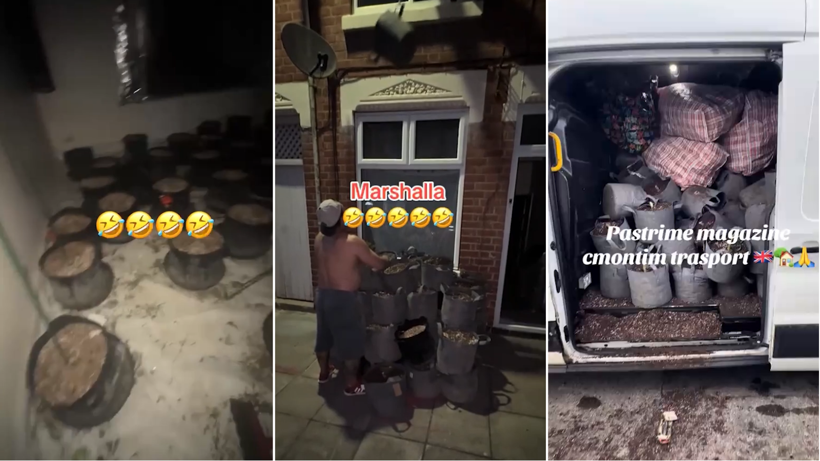 Albanian crime gangs caught offering 'one-stop shop' to set up cannabis farms in Britons' homes