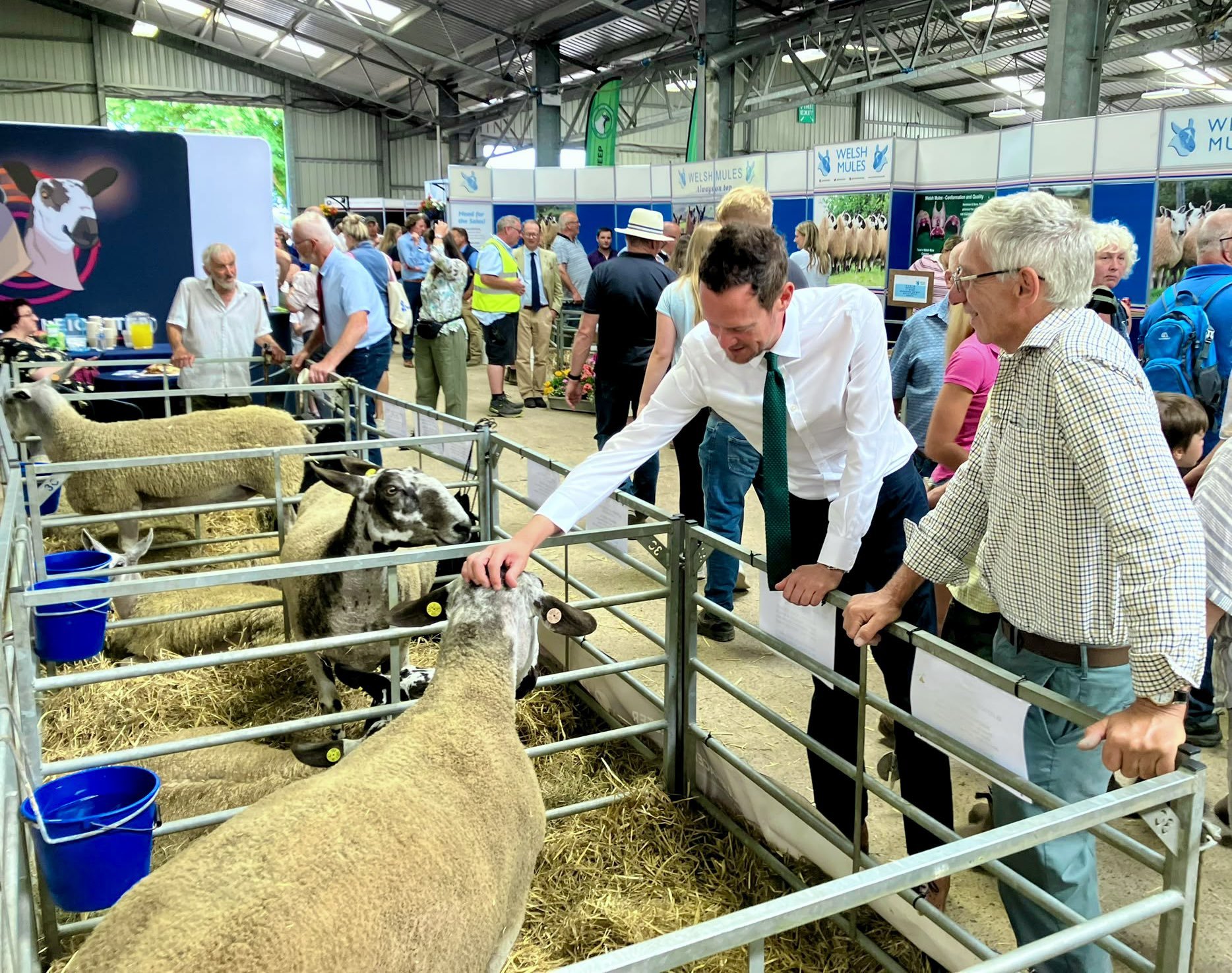 Labour's farming minister faints 'at sight of meat' while touring beef freezer