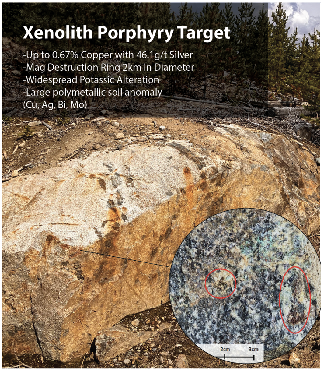 Xenolith Porphyry Target