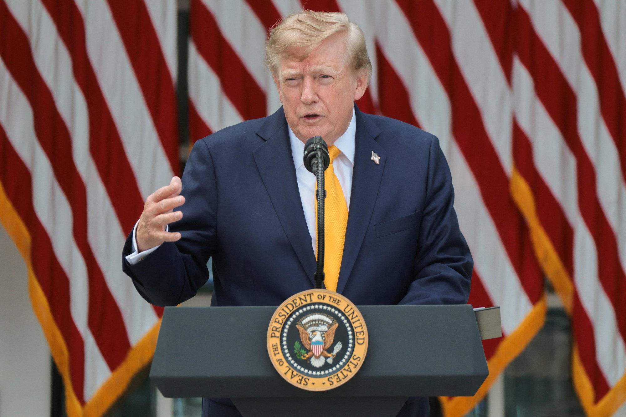Donald Trump halts all immigrant visa applications under national security crackdown