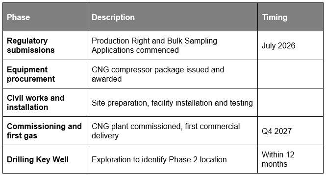 Indicative phase 1 execution timeline