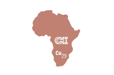 Copper Intelligence