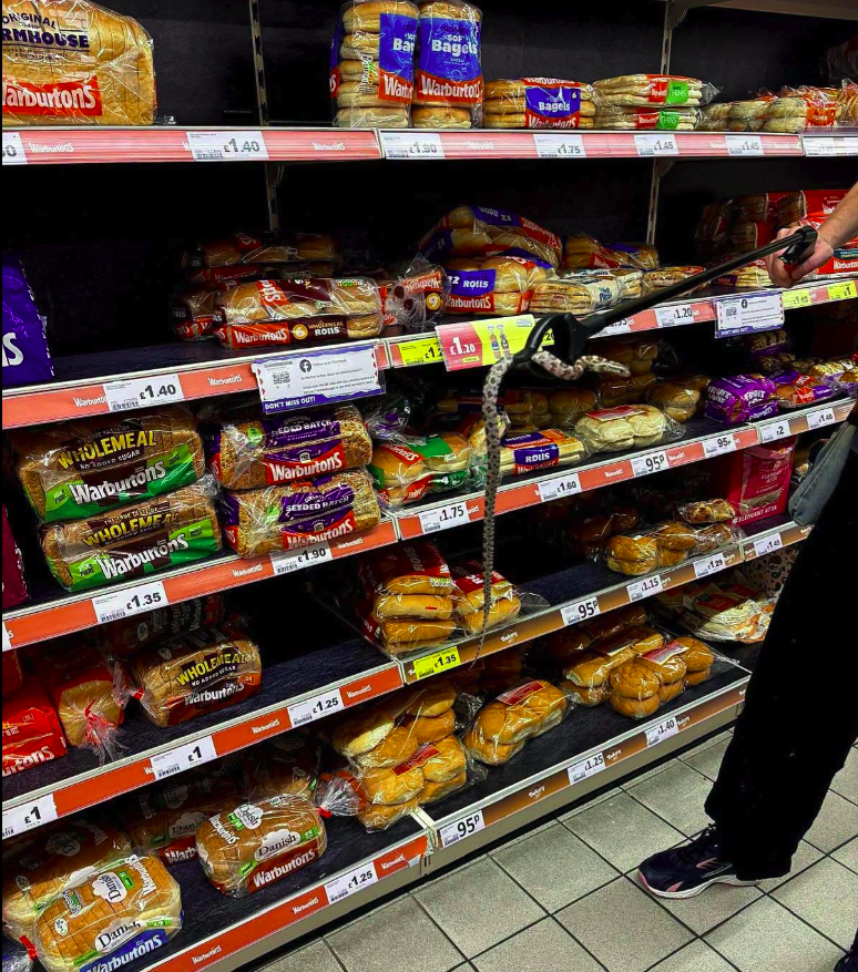 Snake discovered in supermarket bread aisle as warning issued over surge in abandonment