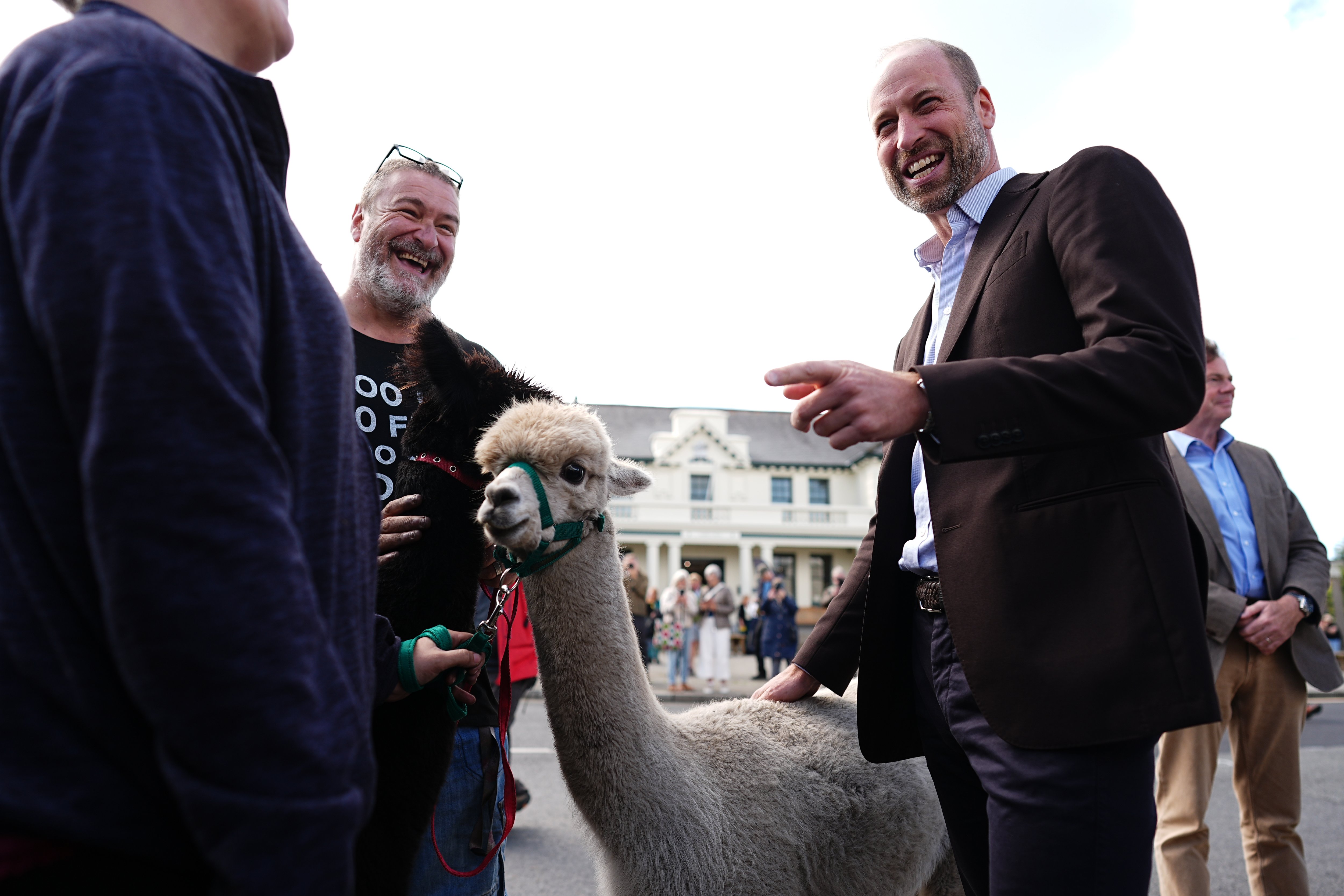 Prince William leaves locals in stitches as he strokes alpacas on Dartmoor visit