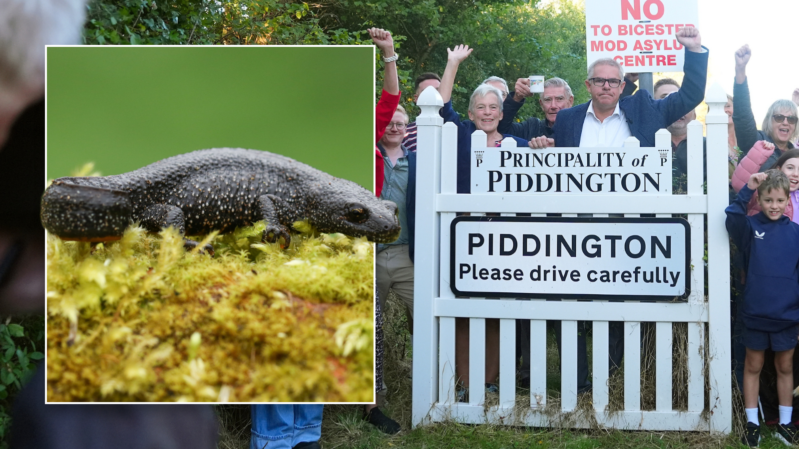 Hated Piddington migrant camp could be scrapped... because of NEWTS