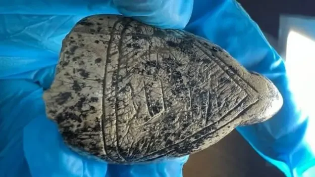 Archaeologists uncover remarkable Ice Age 'Venus' models carved from mammoth ivory