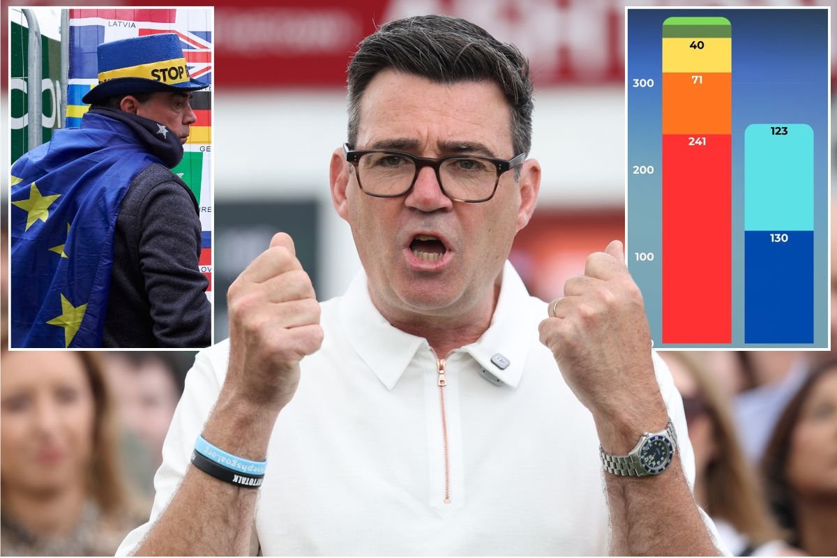 Andy Burnham told to enter ‘anti-Brexit coalition’ as Labour warned rejoining EU could unlock election victory