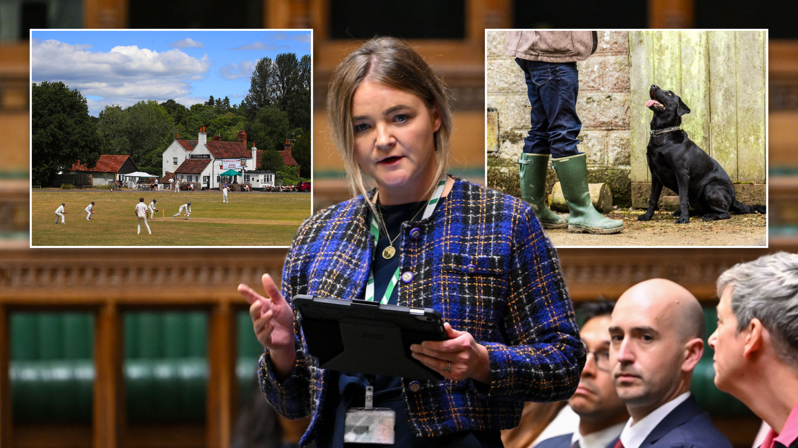 Labour minister claims the idea of Britain's pubs, warm ale and black labradors is a 'far-right fantasy that never existed'