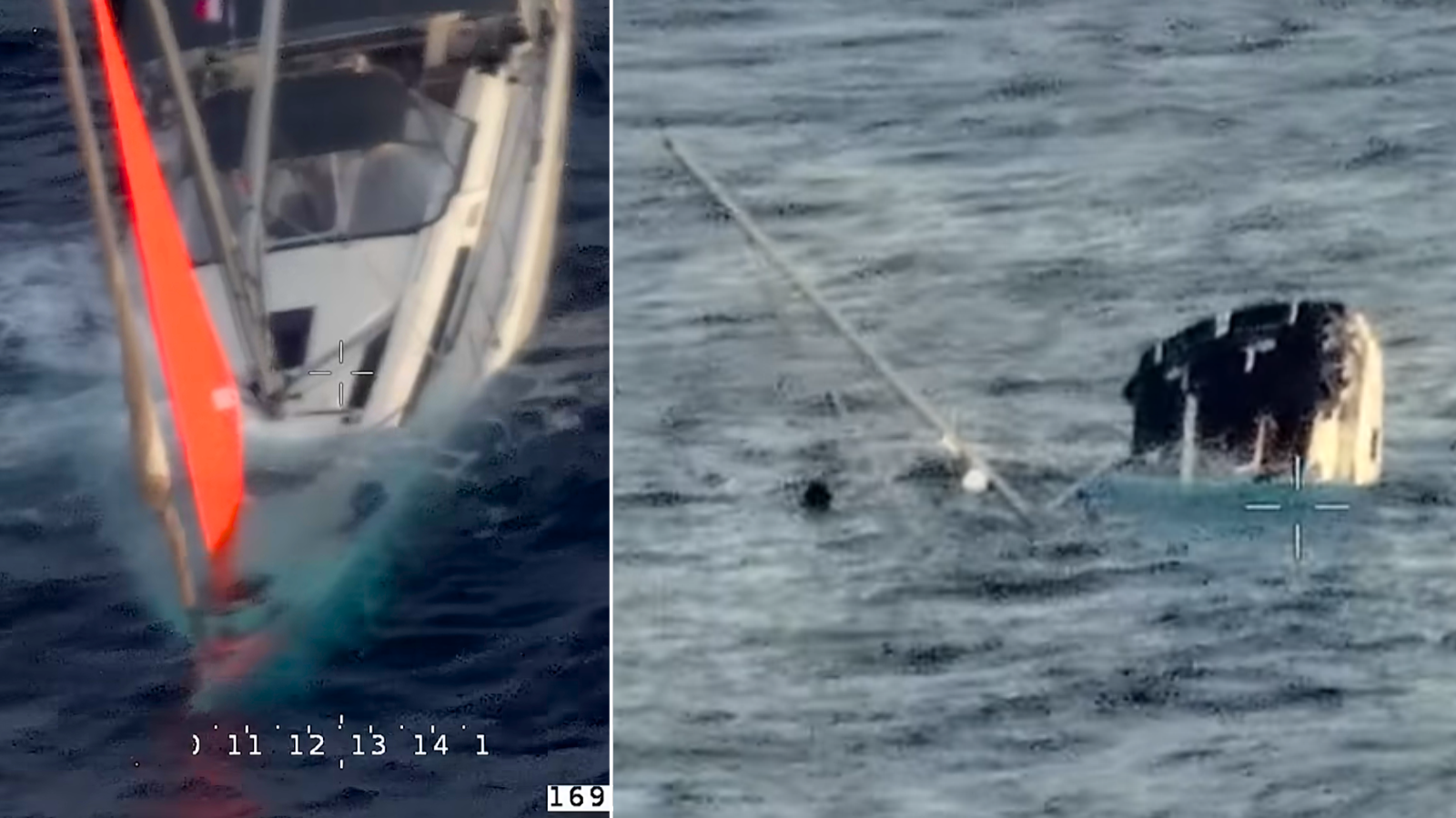 Sailors fight for survival after 'real-life Moby Dick' sinks their yacht in remote Pacific Ocean