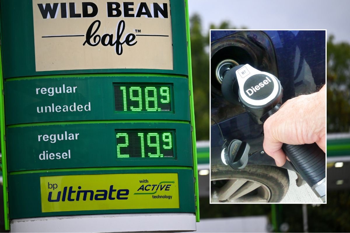 European Union rejects diesel export ban after Donald Trump threats as prices hit record high