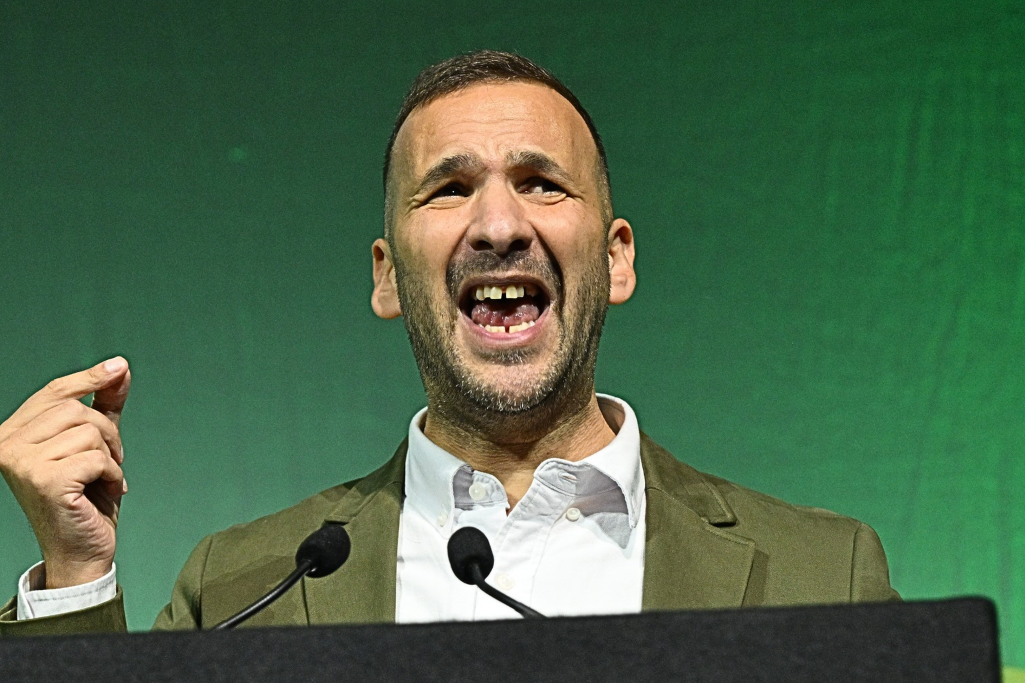 Greens poised to splurge taxpayer cash on STOPPING Home Office deporting illegal migrants